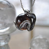 Snake Guardian - Smoky Quartz with Rainbows