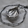 Lion's Paw Shell, chain included