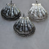 PRE-ORDER (Thick! Heavy!) Lion's Paw Shell Pendants - WITH chain